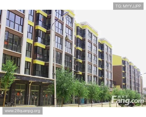 南宫中国：南宫地区最新房地产市场动态与购房指南，助你把握投资良机