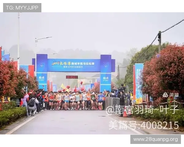 南宫体育ng官网地址查询及访问流程详细解析