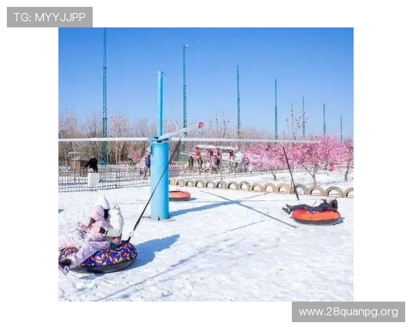 南宫体育馆最新开放时间及预约方式，助你轻松享受运动时光